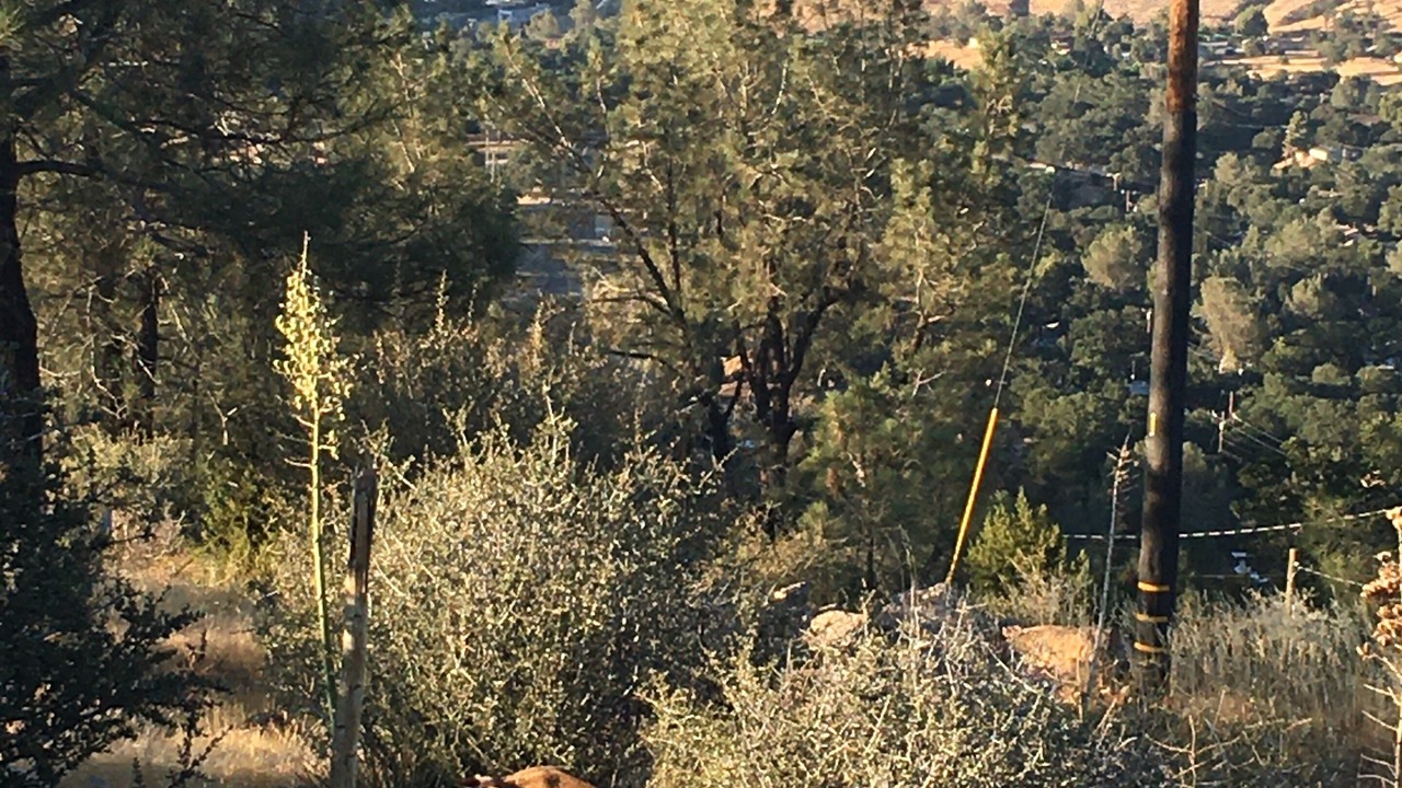 Photo of Others in Bodfish