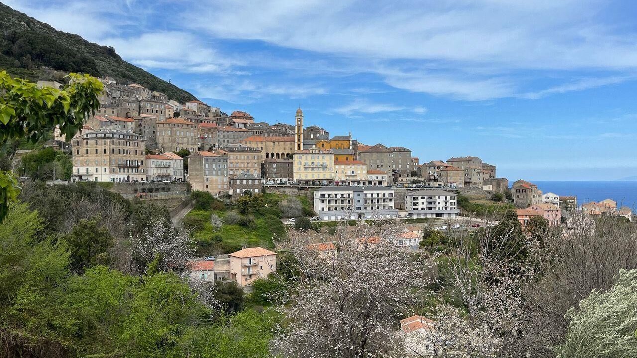 Photo of Outdoor in Cervione