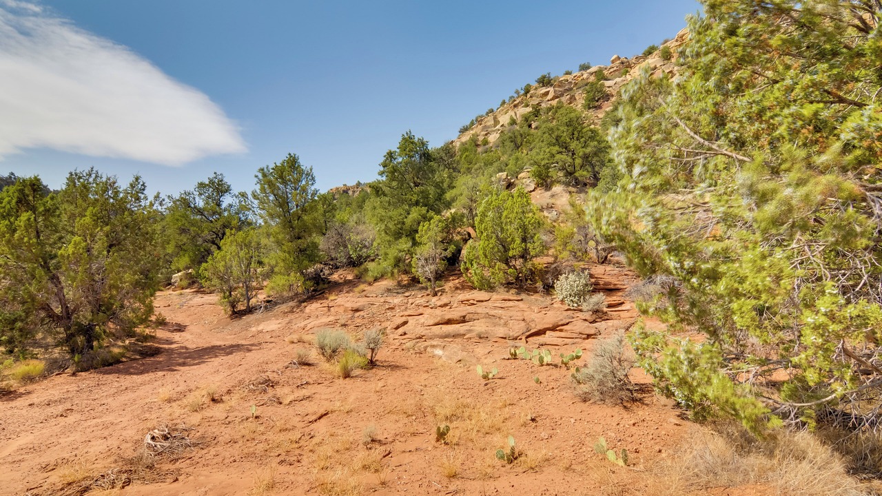 Photo of Outdoor in Apple Valley
