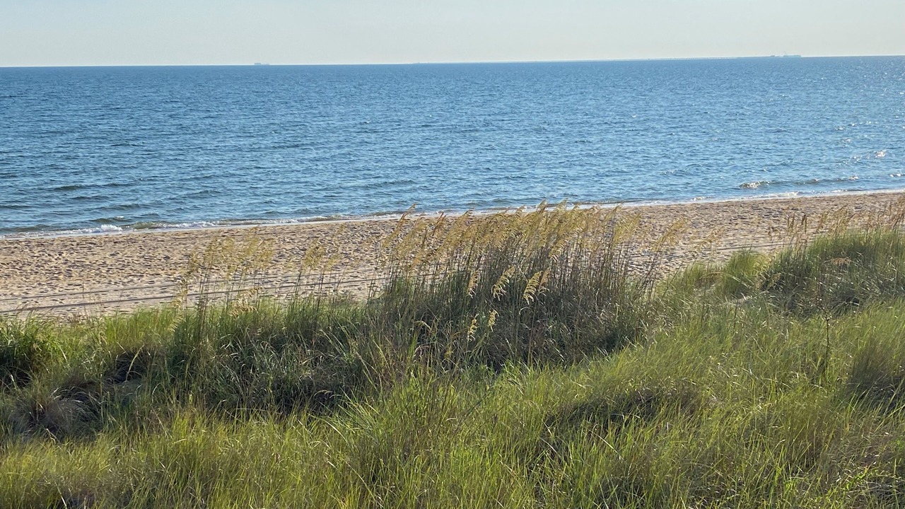 Photo of Others in Norfolk