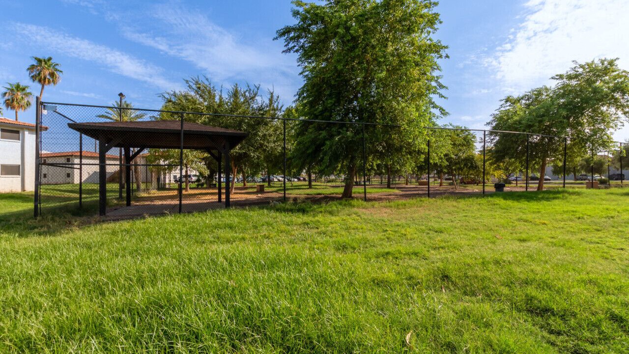 Photo of Outdoor in Mesa Grande
