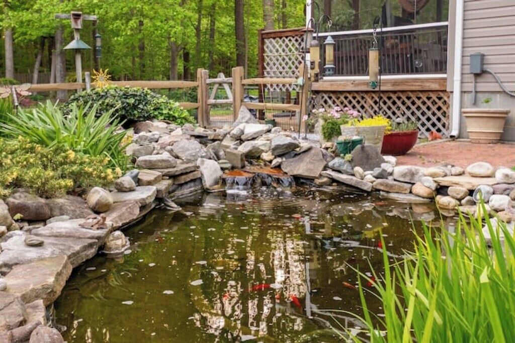 Photo of Outdoor in Cambridge