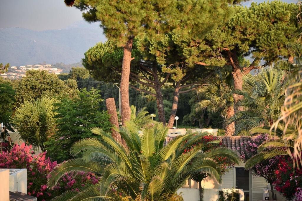 Photo of Outdoor in Penta-di-Casinca