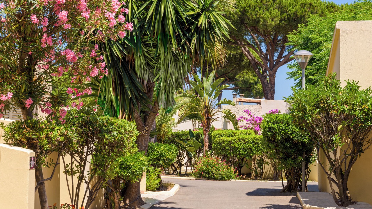 Photo of Outdoor in Penta-di-Casinca