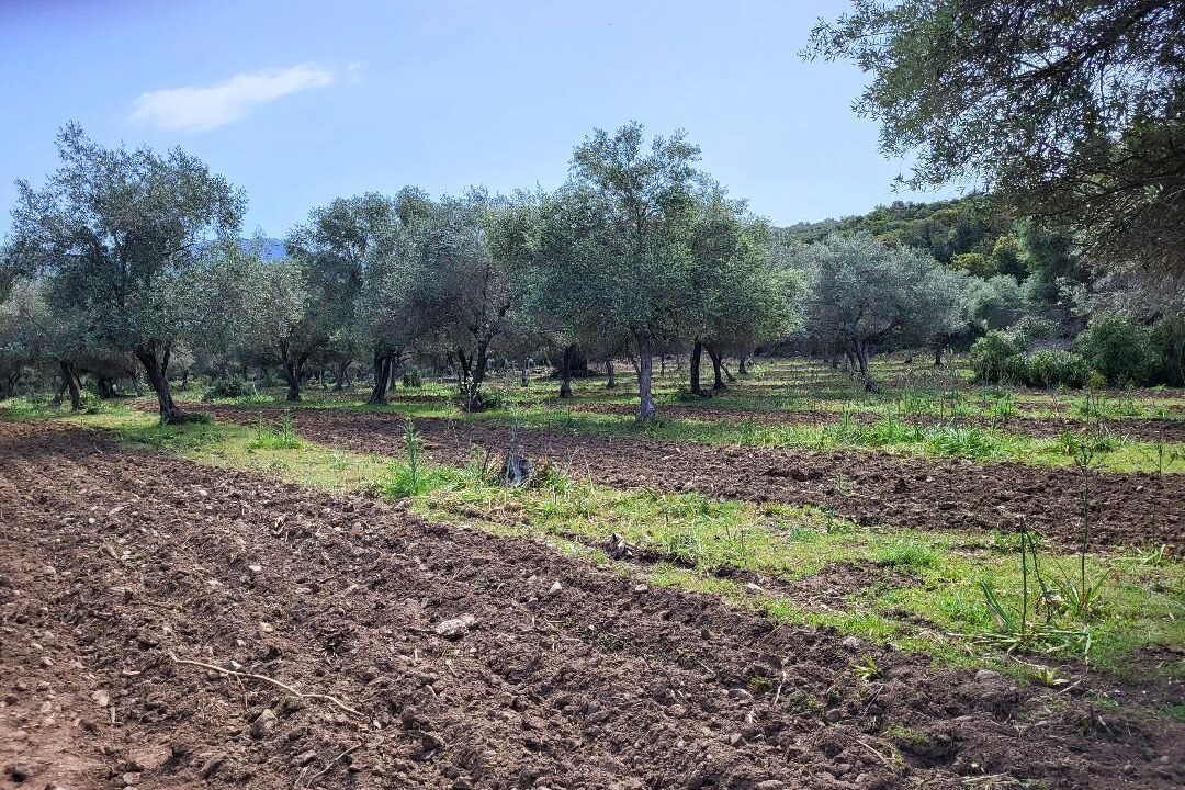 Photo of Outdoor in Novella