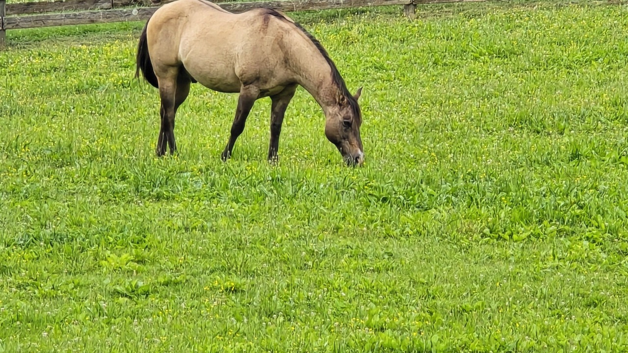 Photo of Outdoor in Georgetown