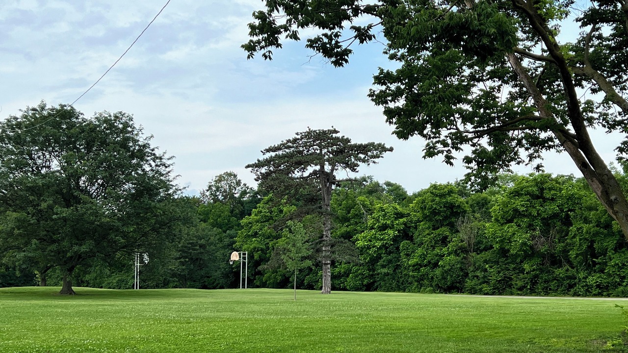 Photo of Outdoor in Springdale