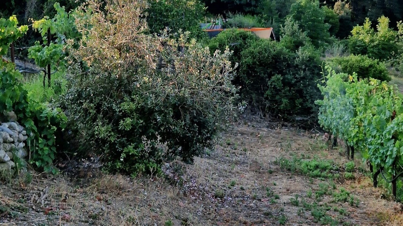 Photo of Outdoor in Ghisonaccia