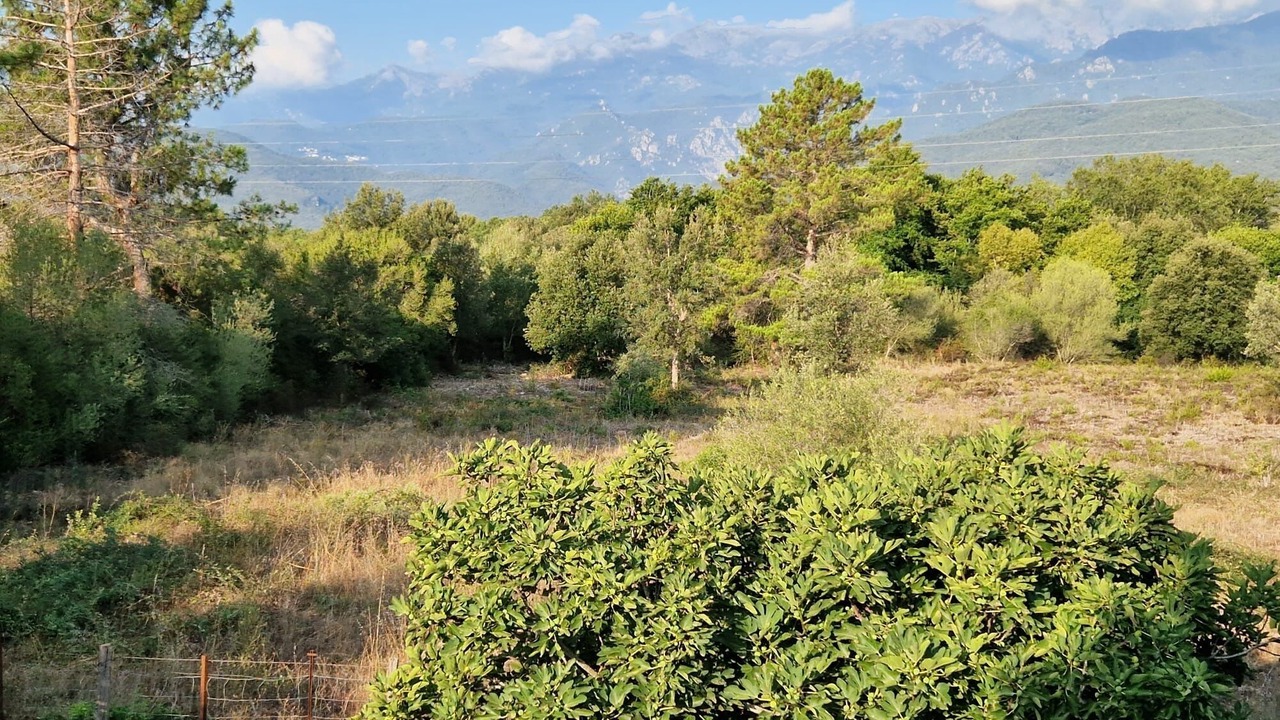 Photo of Outdoor in Ghisonaccia