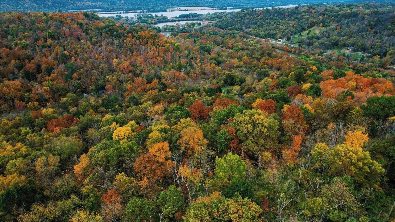 Photo of Outdoor in Decatur