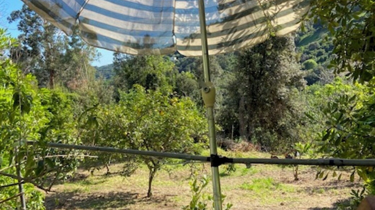Photo of Outdoor in San-Giuliano