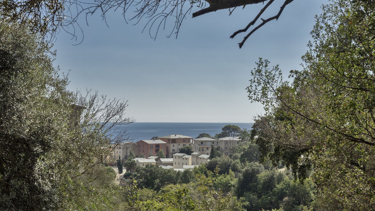 Photo of Outdoor in Erbalunga