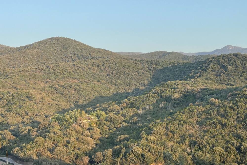 Photo of Outdoor in Molini
