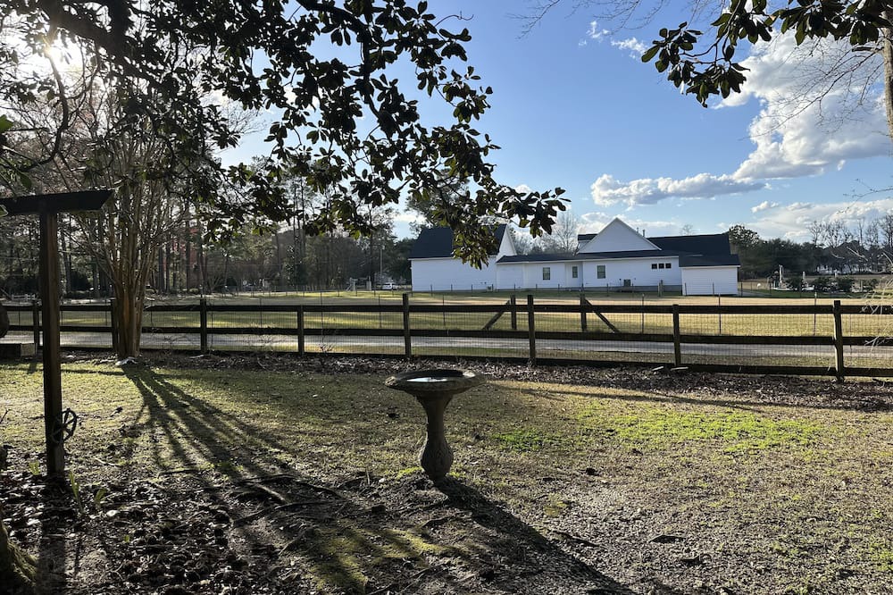 Photo of Outdoor in Summerville