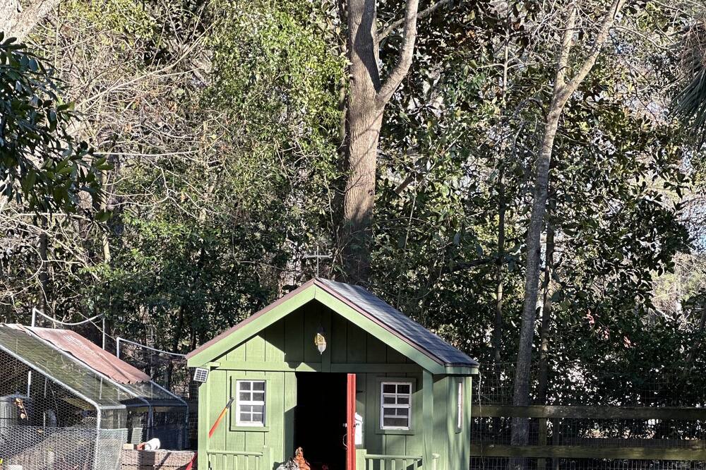 Photo of Outdoor in Summerville
