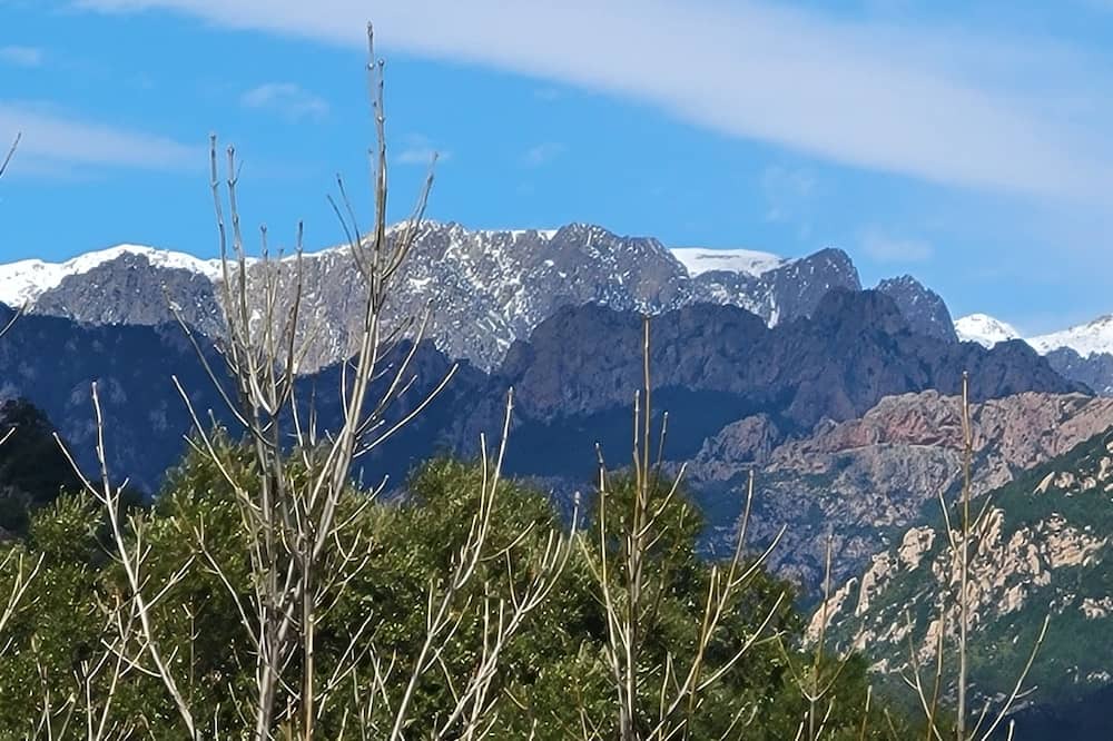 Photo of Others in Pinarellu