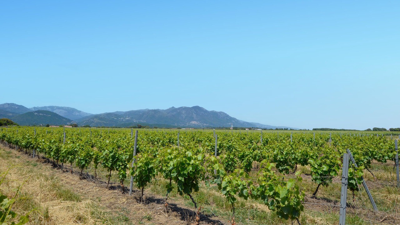 Photo of Outdoor in Chiatra