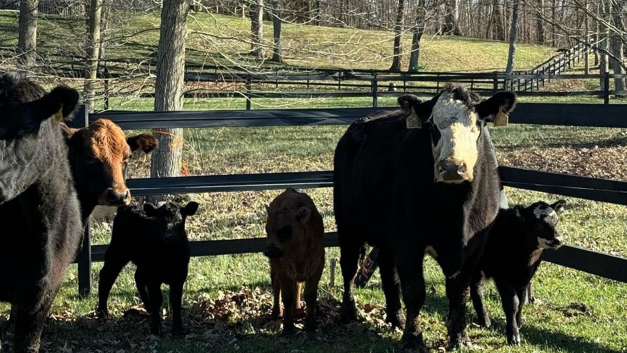 Photo of Outdoor in Martinsville