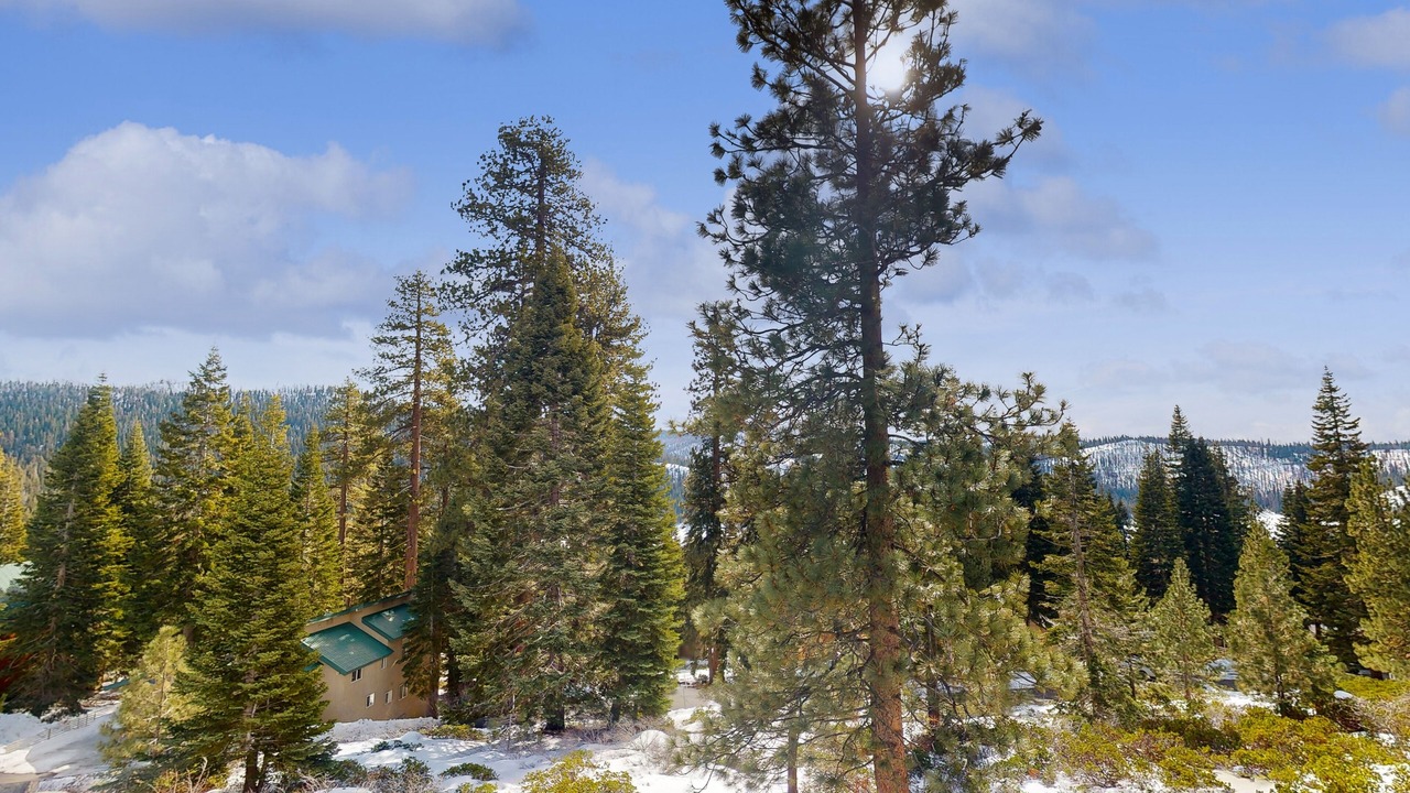 Photo of Outdoor in Lakeshore