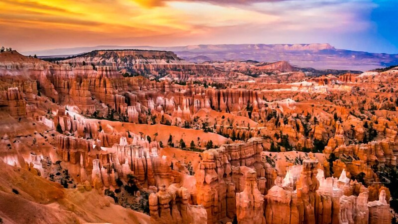 Photo of Others in Cedar City