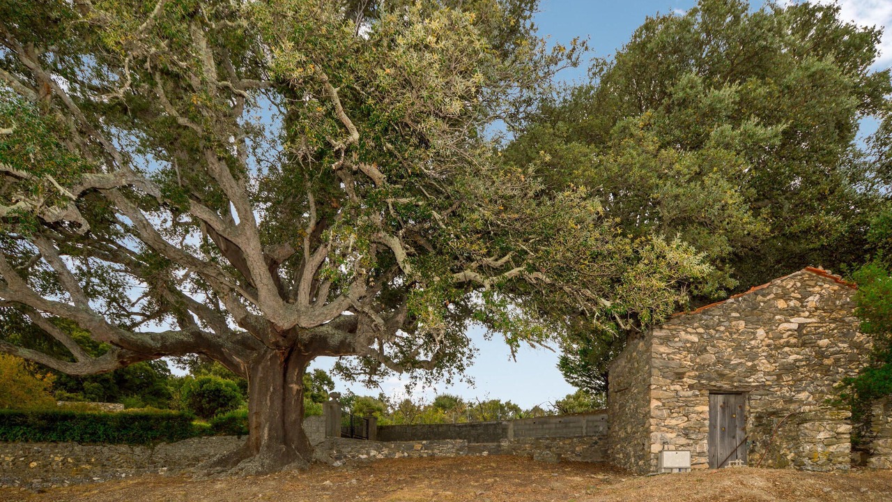 Photo of Outdoor in Casevecchie