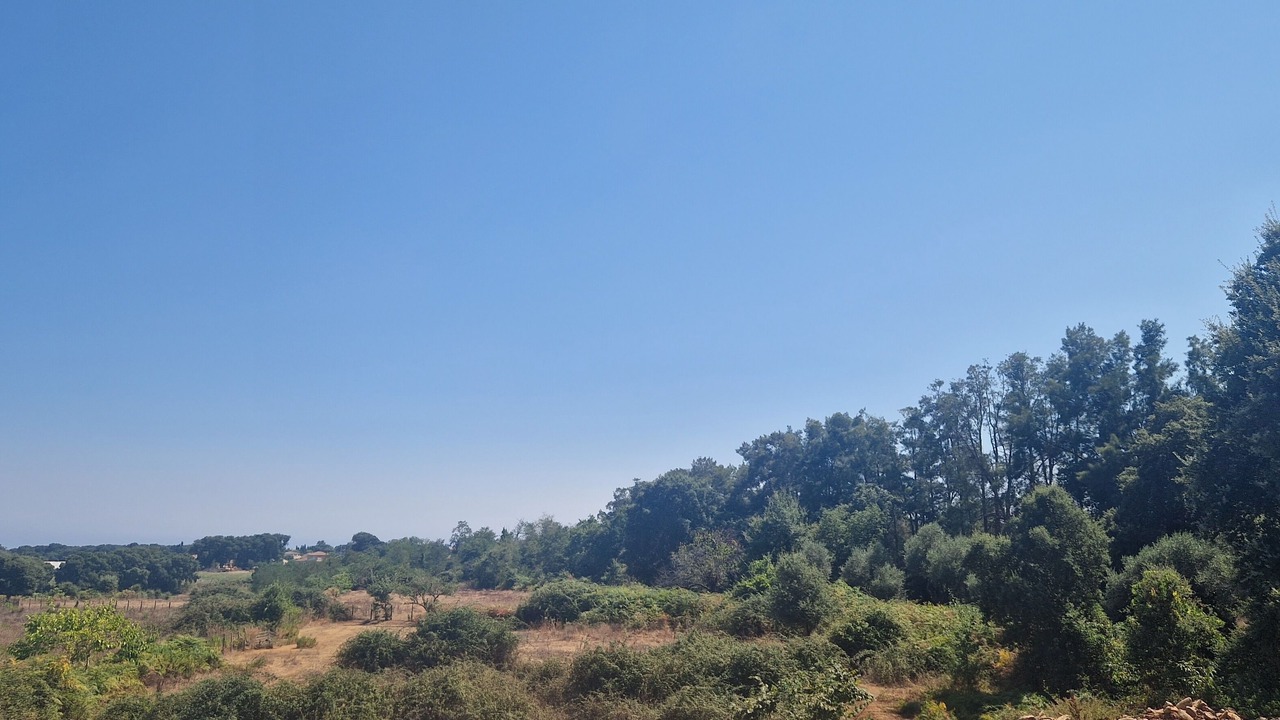Photo of Outdoor in Arena