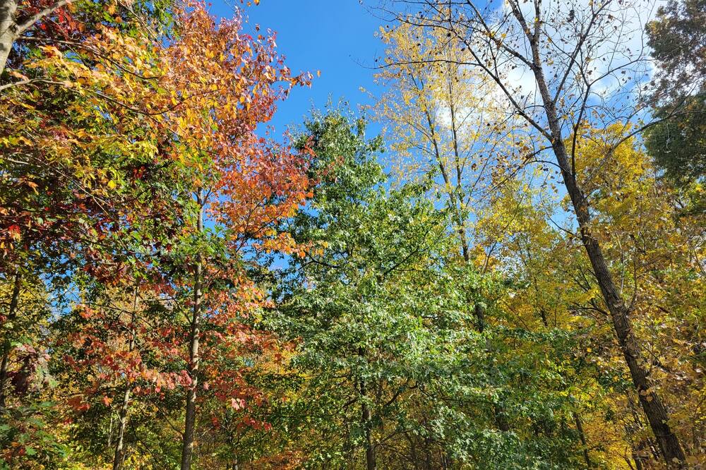 Photo of Outdoor in Johnstown