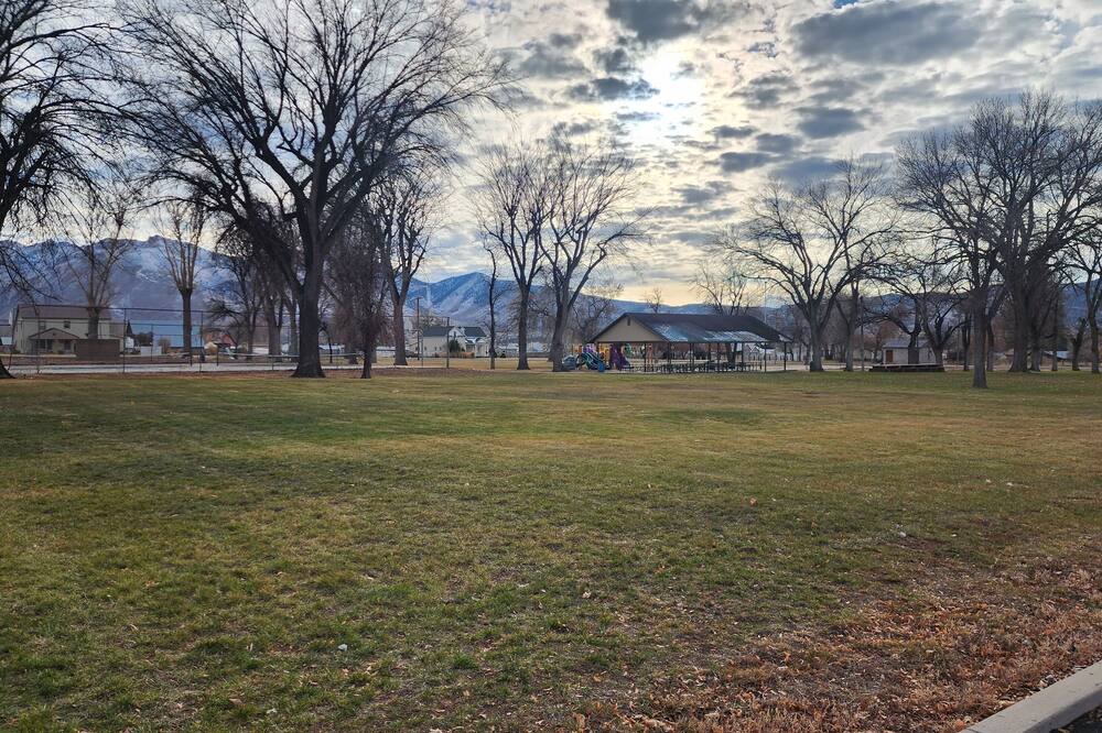 Photo of Others in Scipio