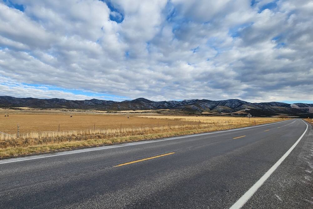 Photo of Others in Scipio
