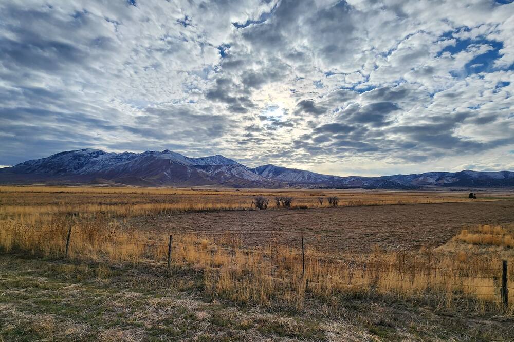 Photo of Others in Scipio