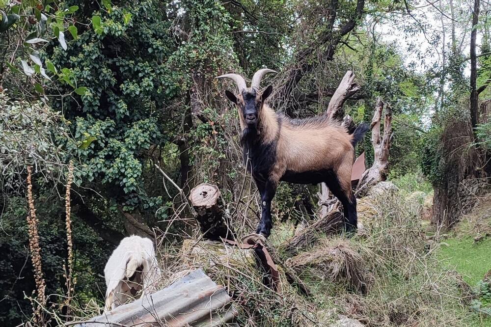 Photo of Outdoor in Vico