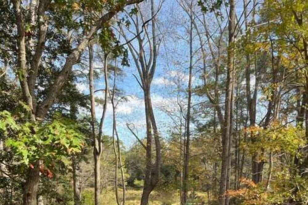 Photo of Outdoor in Irvington
