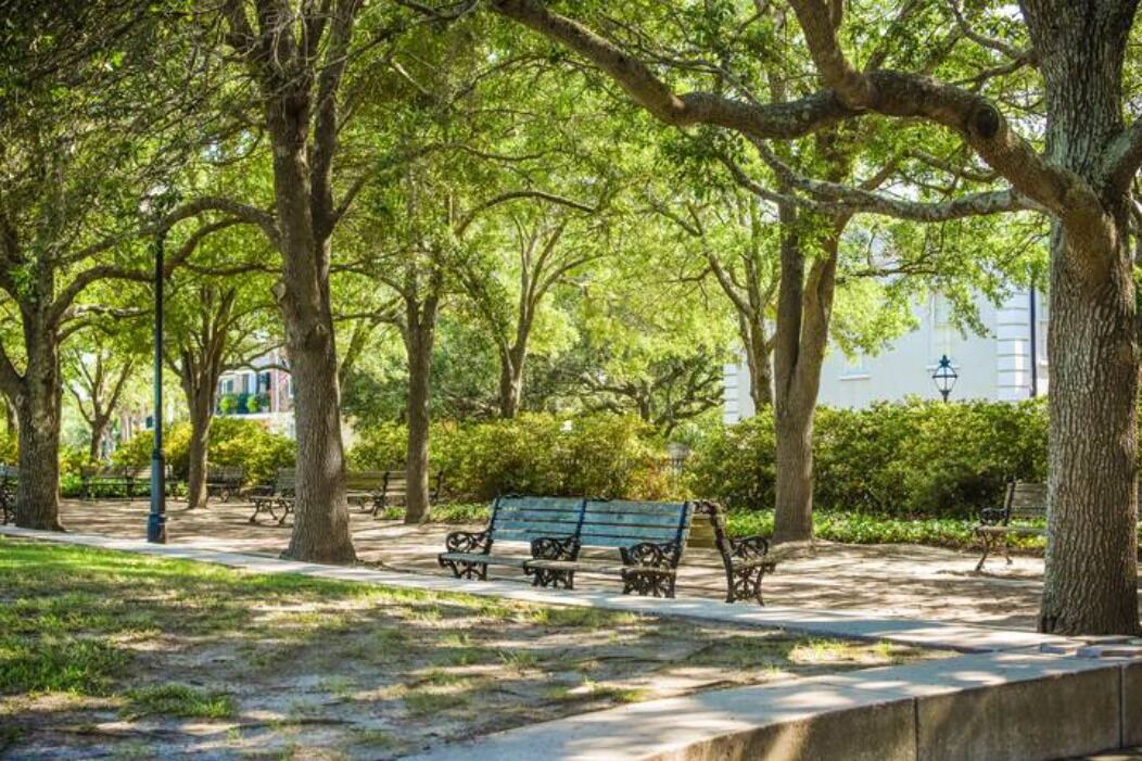 Photo of Outdoor in Summerville Historic District