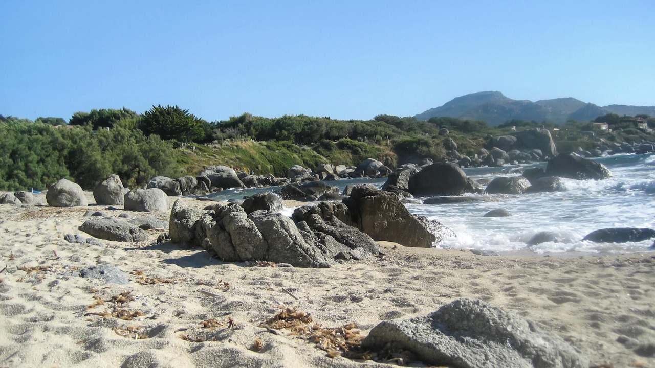 Photo of Others in Marine de Davia
