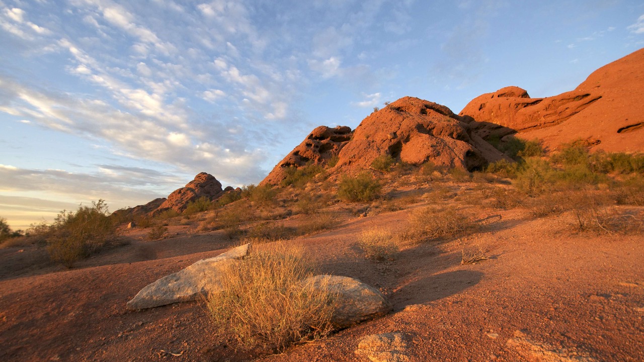 Photo of Outdoor in Tempe