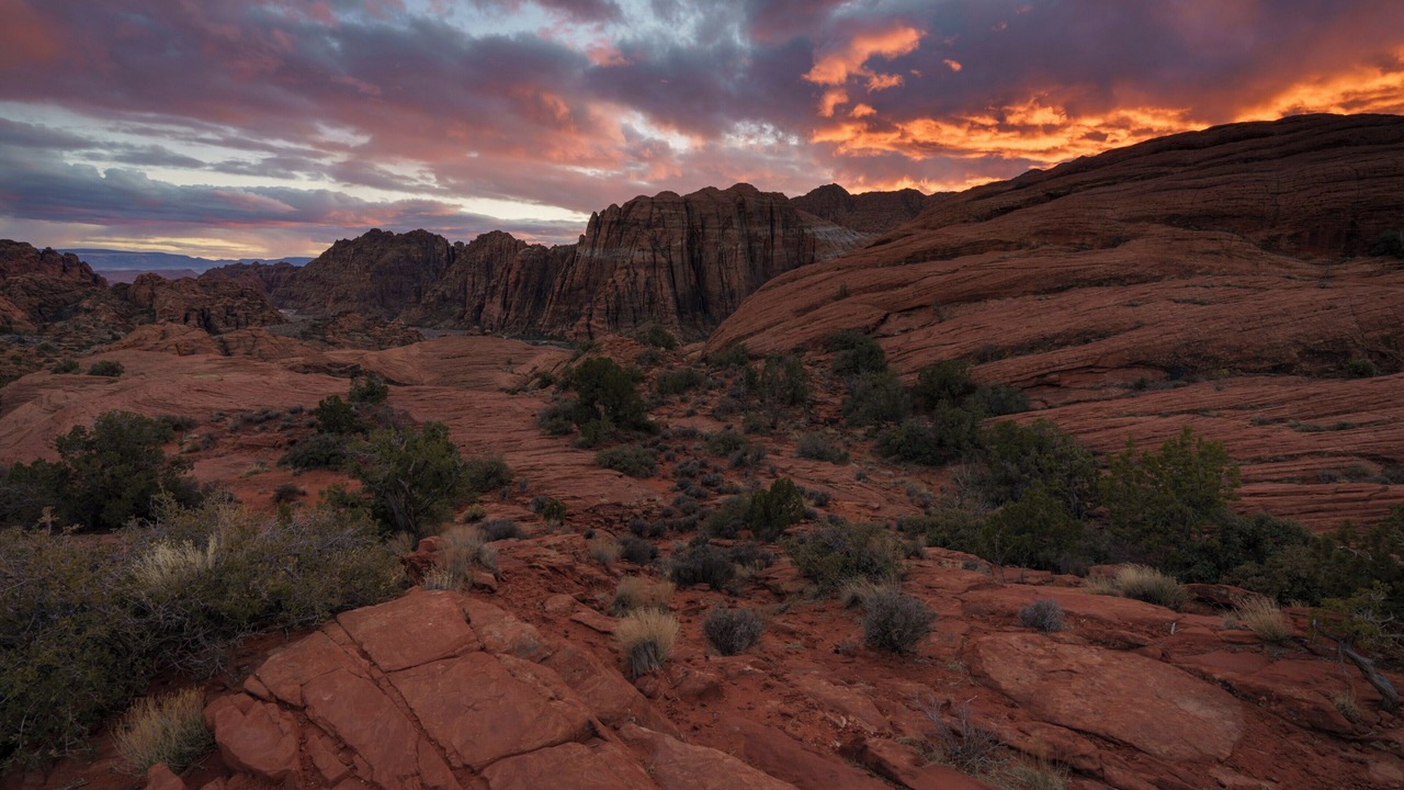 Photo of Others in St. George