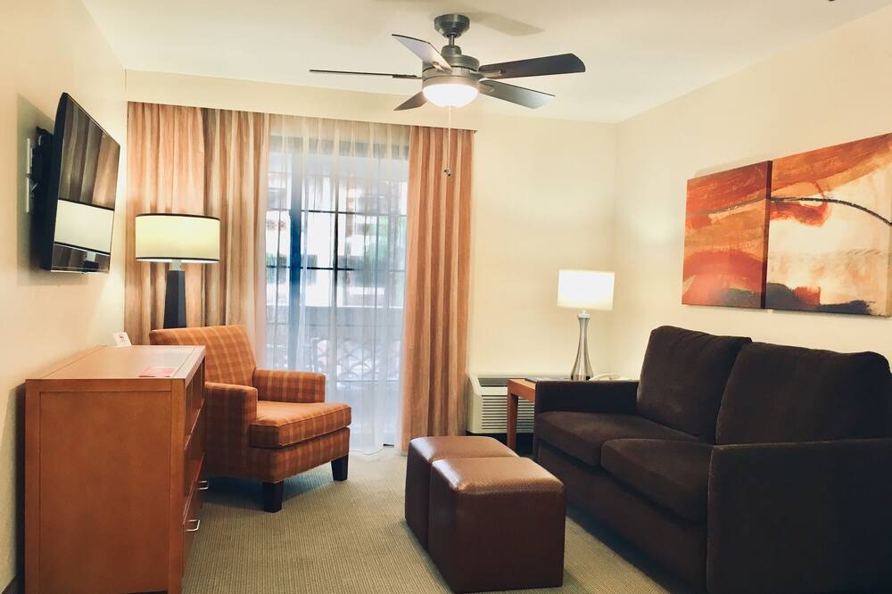 Photo of Livingroom in Palo Verde