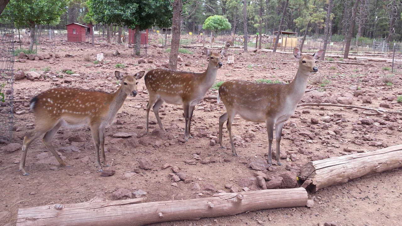 Photo of Others in Williams