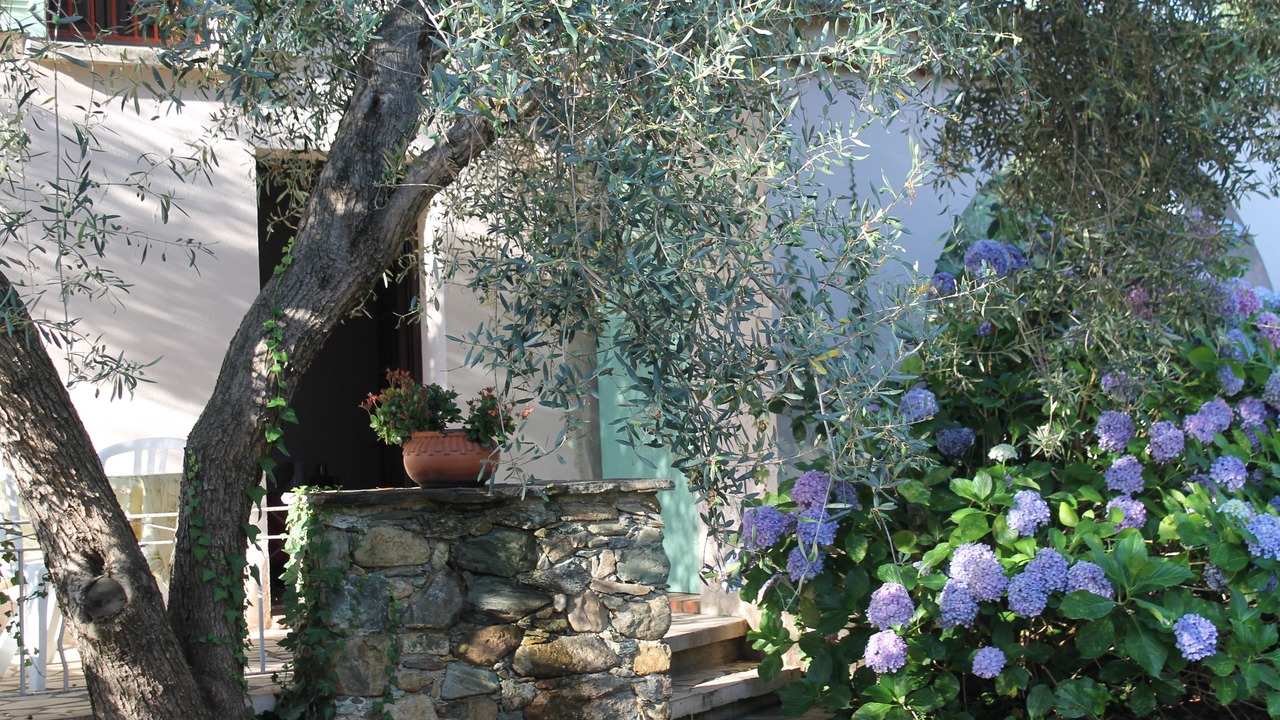 Photo of Bedroom in Querciolo