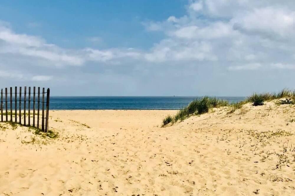 Photo of Others in Chic's Beach