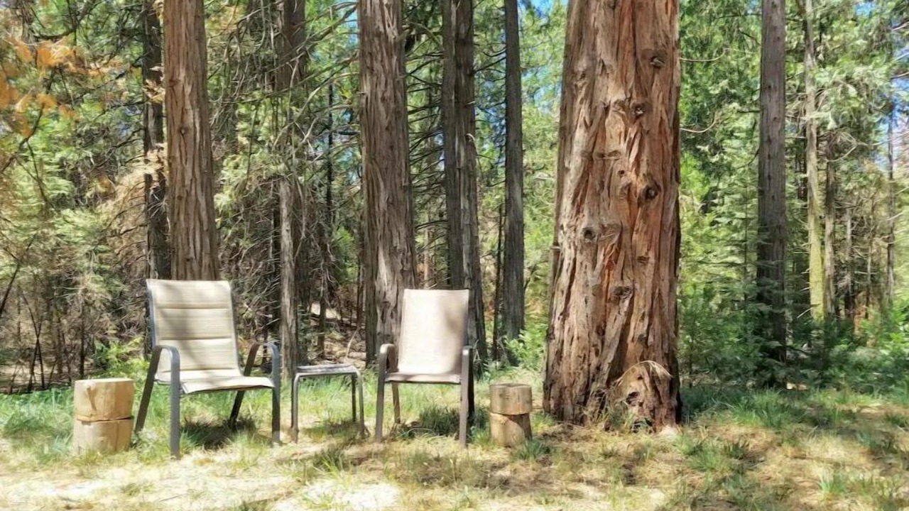 Photo of Outdoor in Mariposa