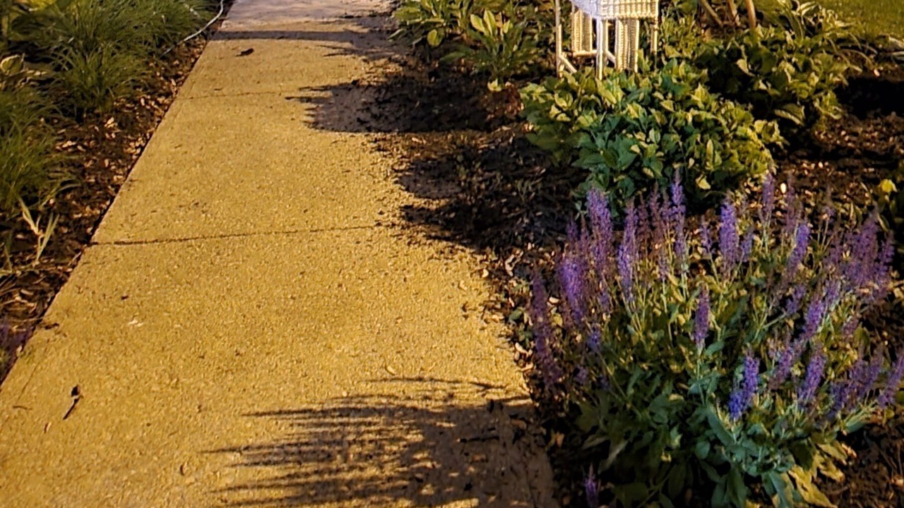 Photo of Outdoor in Mount Vernon
