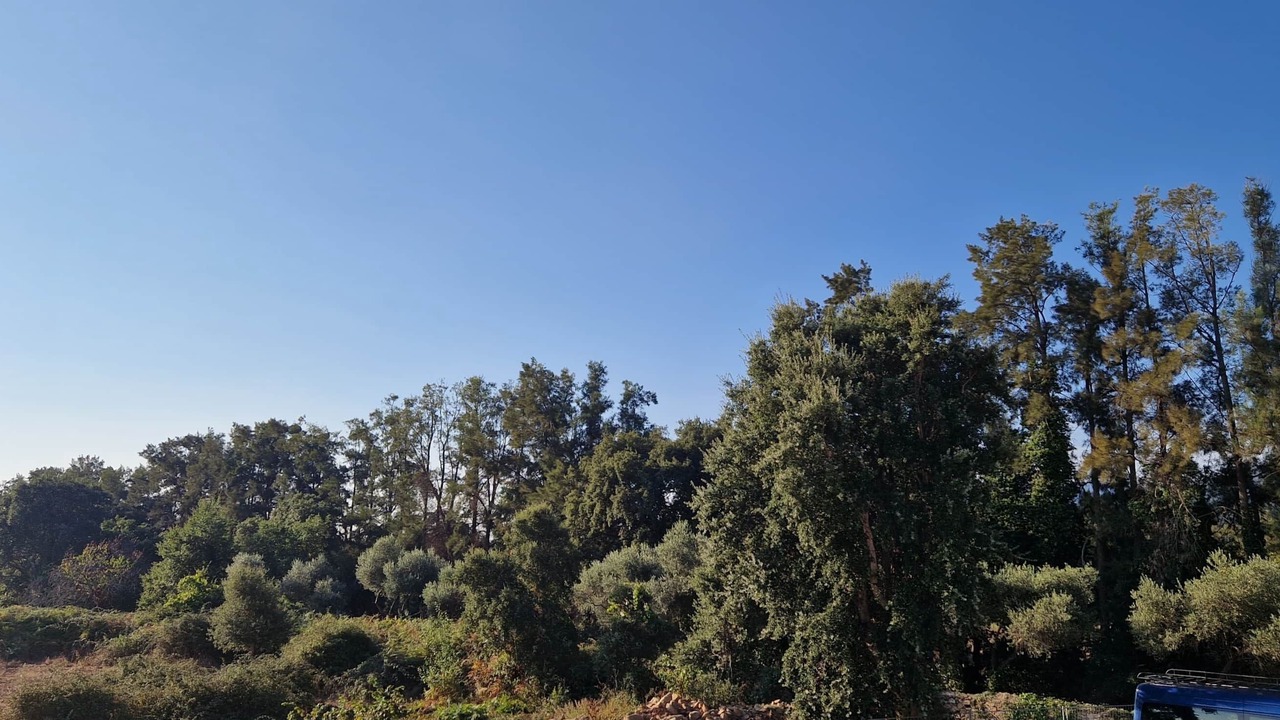 Photo of Outdoor in Arena