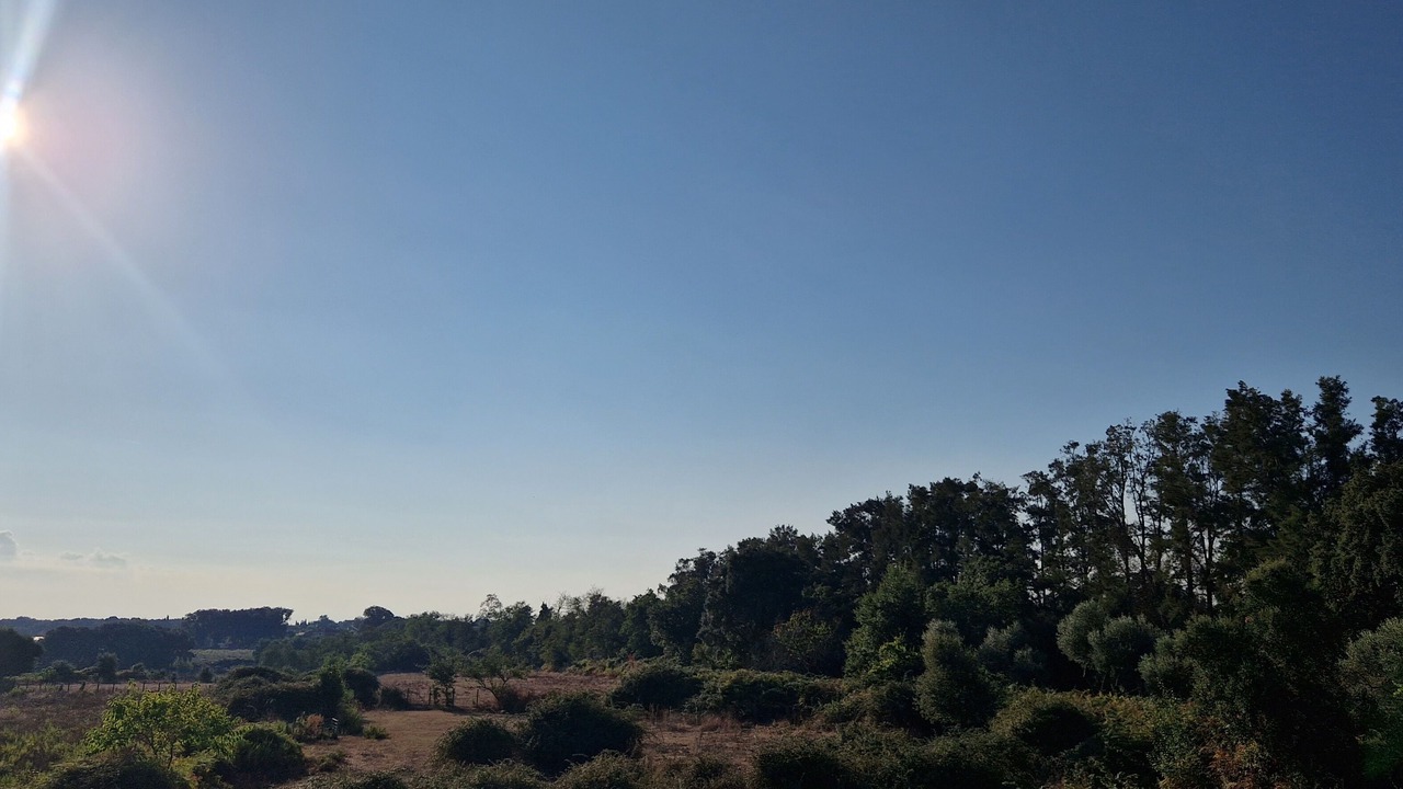 Photo of Outdoor in Arena