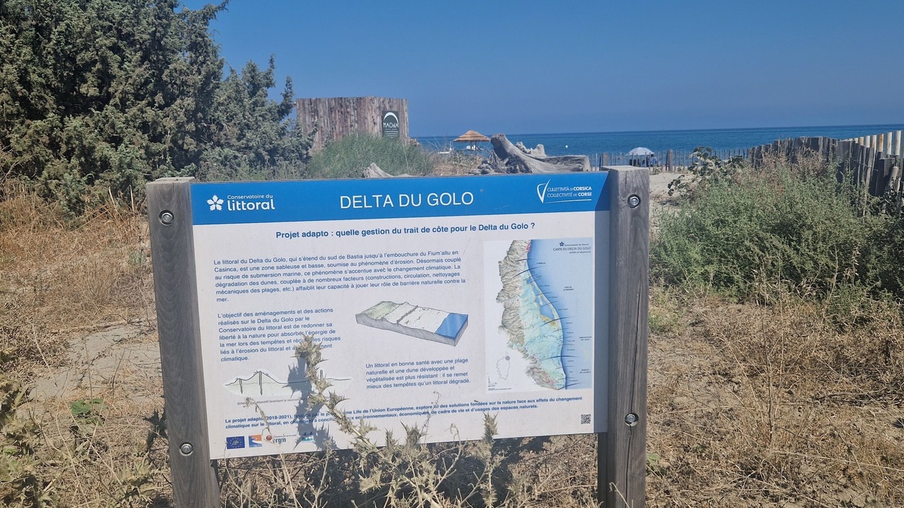 Photo of Outdoor in Arena