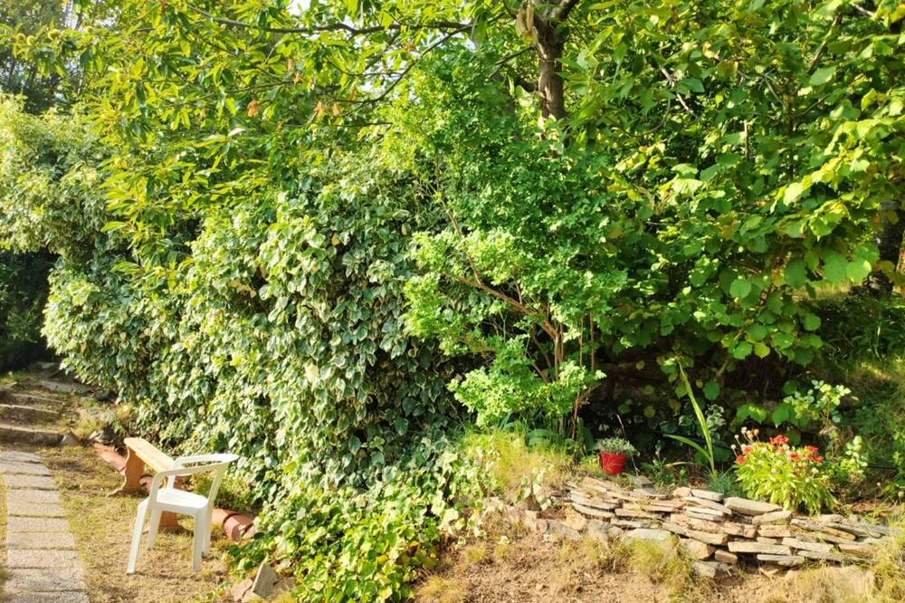 Photo of Outdoor in Evisa