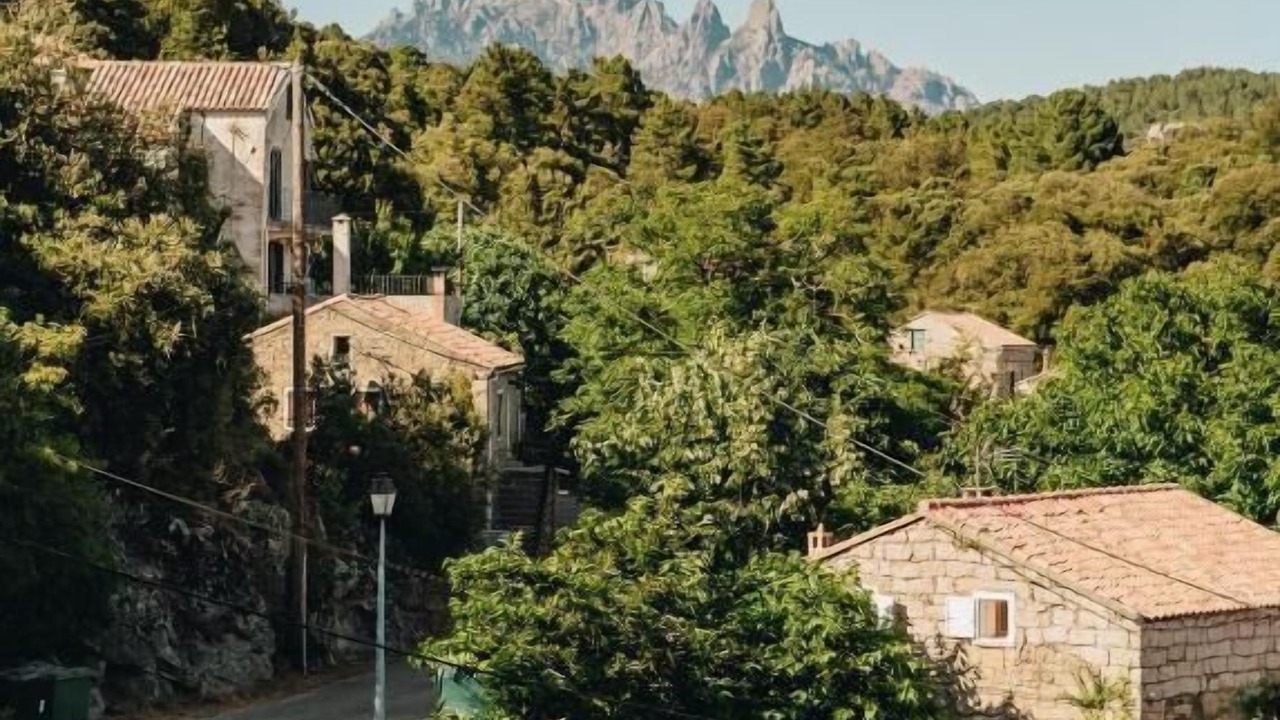Photo of Outdoor in San-Gavino-di-Carbini