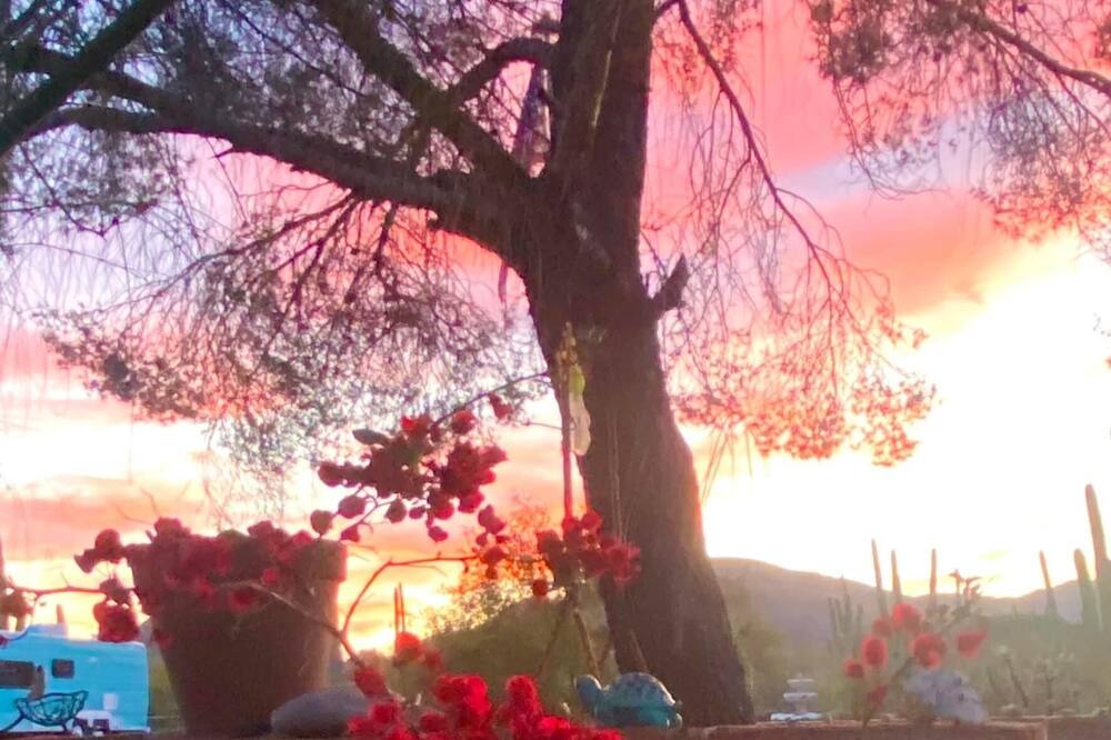 Photo of Outdoor in Tucson