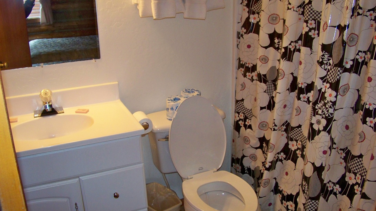 Photo of Bathroom in Pinetop-Lakeside