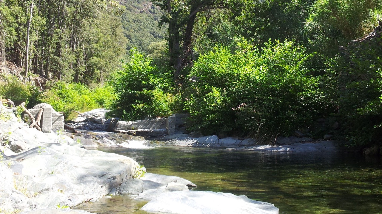 Photo of Outdoor in Olmeta di Capocorso